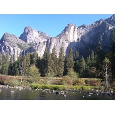 ヨセミテ国立公園 ONE WAY( 片道 / 往き )